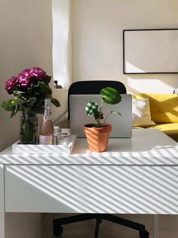 Tips for Creating a Cozy and Productive Home Office Space